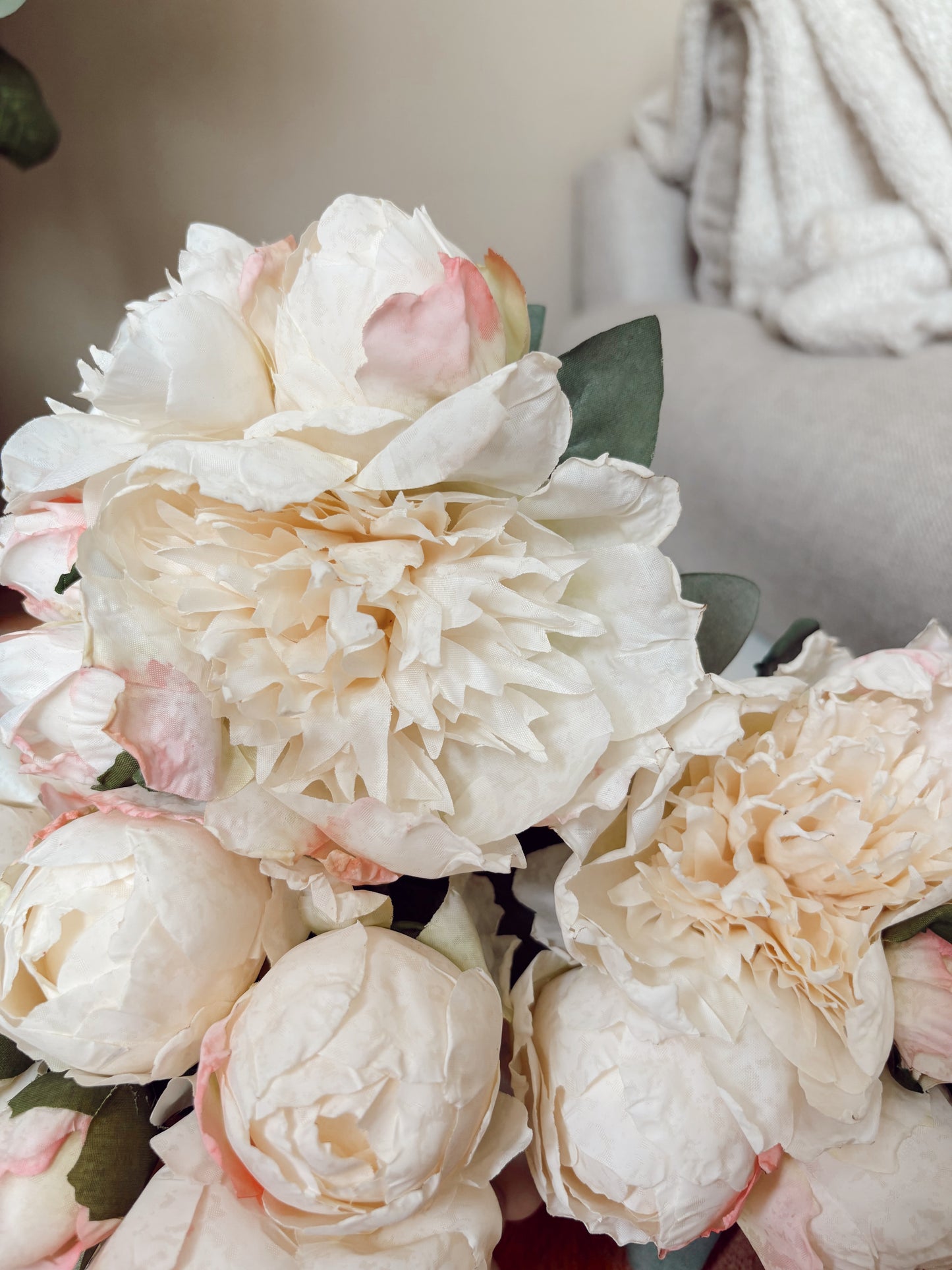 Pale Pink Peonies